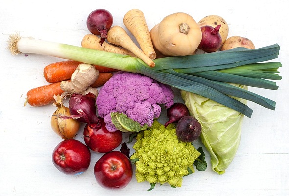 What-is-Nutrition-Definition-ما-هي-التغذية-الصحيحة