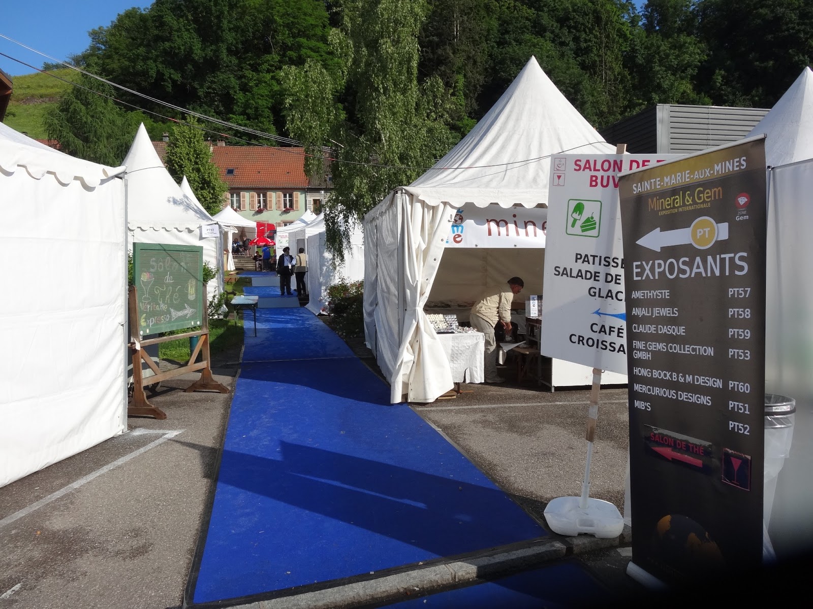 Natural History Museum of L.A. Minblog 50th SainteMarieauxMines Gem & Mineral Show