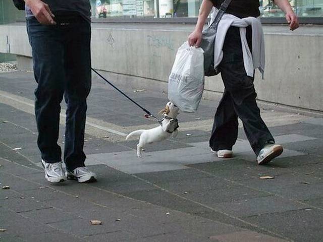 Picdump-Ritemail-003.jpg