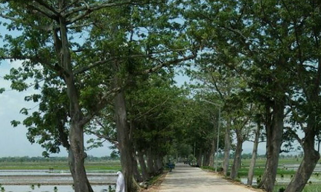 Viral, Foto Wanita Sholat Di Tepi Sawah Begitu Menyentuh Jiwa