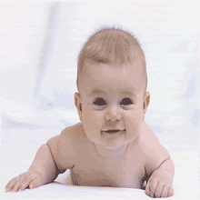 Gambar Bergerak Dp Bbm Informasi Genggaman Bayi Begerak Lucu