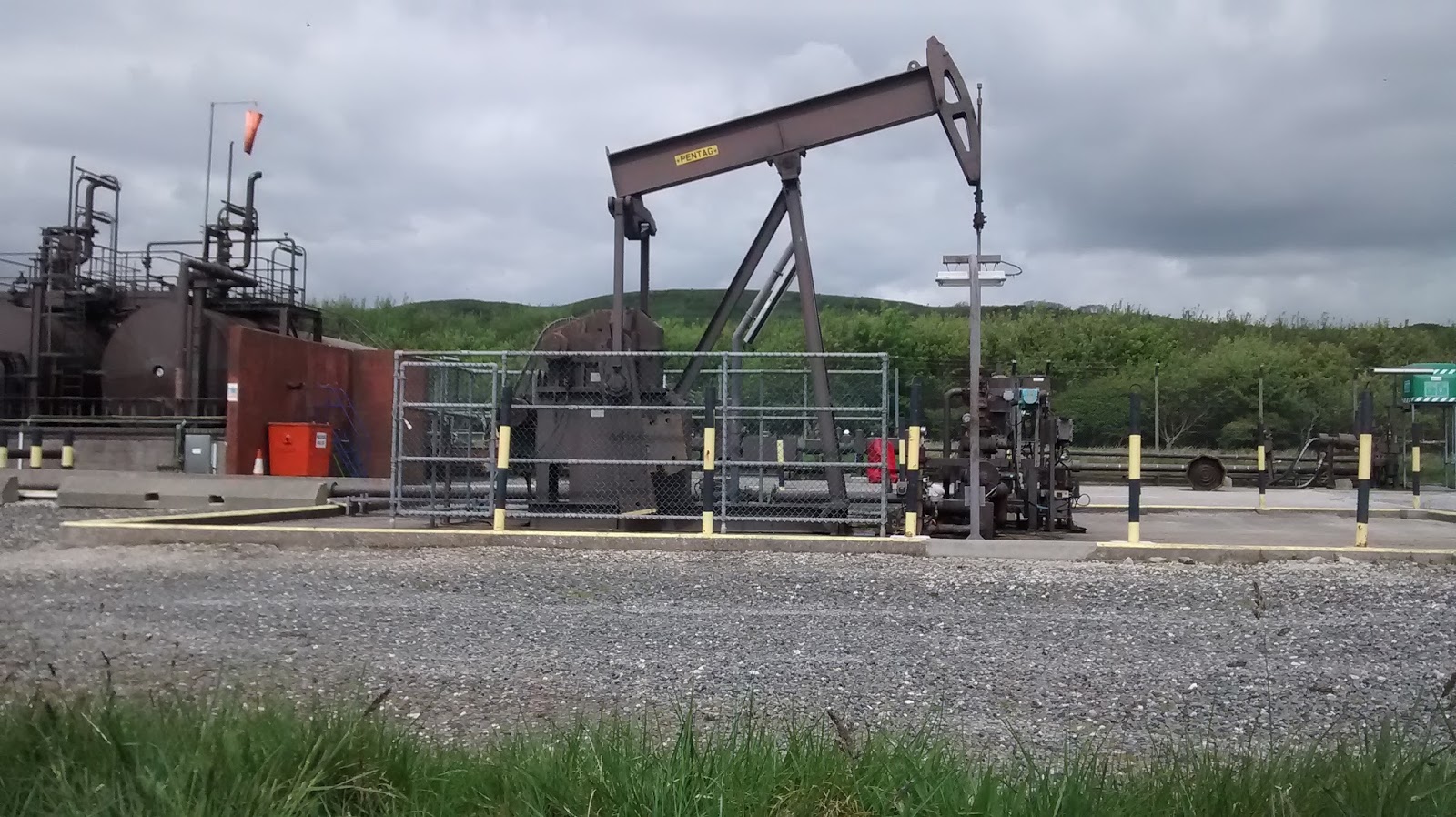 Dorset Allsorts Nodding Donkey