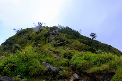 jalur menuju Puncak Pemancar - Merbabu
