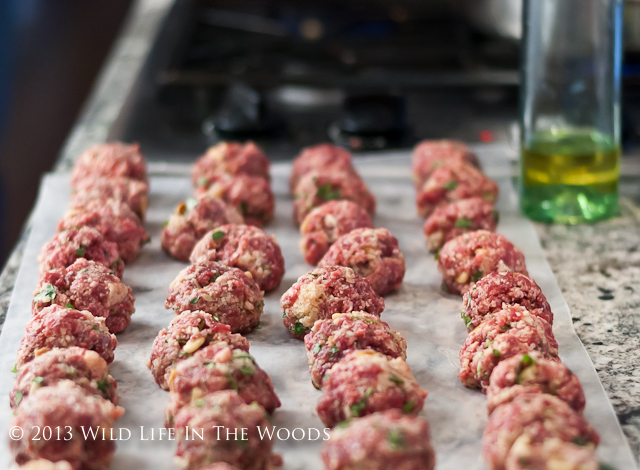 The best Spaghetti and Meatball recipe ever, where the meat for the meatball is venison.