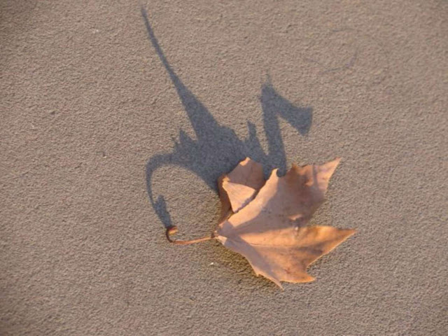 21 imagens surpreendentes de sombras Elfandarilha