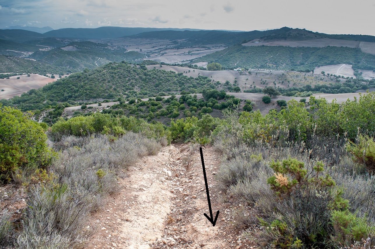 Foto de Camino de la Teja en San José del Valle, Cádiz