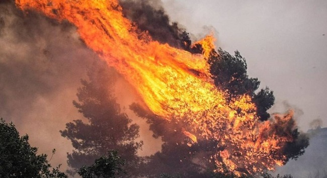 Πυρκαγιά και στα Μέγαρα - Μαίνεται η φωτιά στο Λουτράκι, πυροσβέστης δέχθηκε τις πρώτες βοήθειες