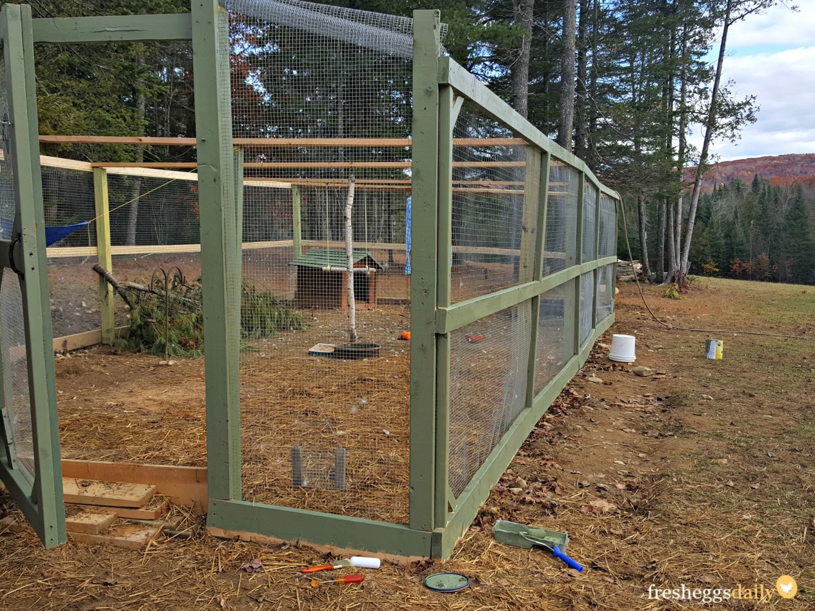 How to Build a PredatorProof Chicken Run Fresh Eggs Daily® with Lisa