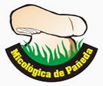 Sociedad Micológica de Pañeda