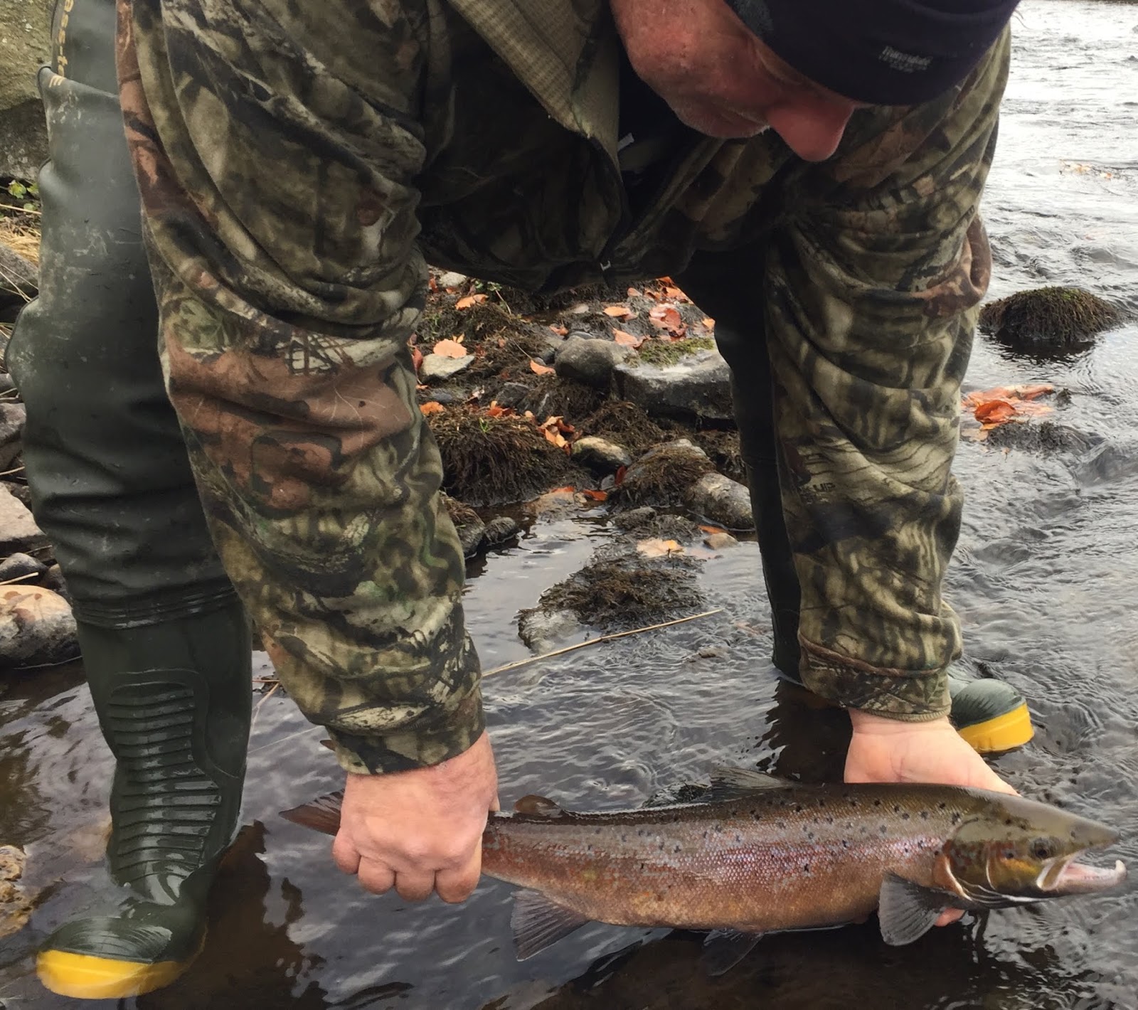 Dee & Don Salmon Fishing: 2018