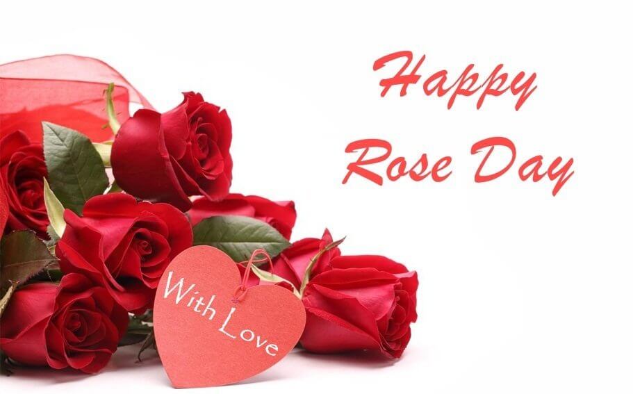 Happy Rose Day HD Images Download Happy Rose Day HD Images Download
