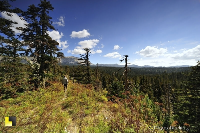 pascal blachier sur le haut plateau du vercors vers le grand veymont photo Pascal Blachier