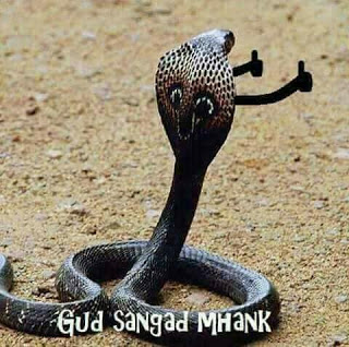 Kerad Kerad