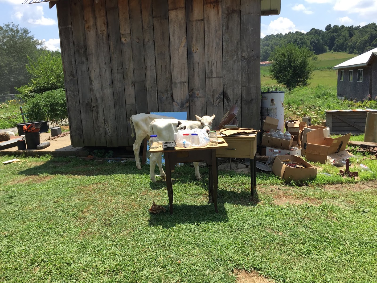 Snug Harbor Bay Amish Community Marion, KY