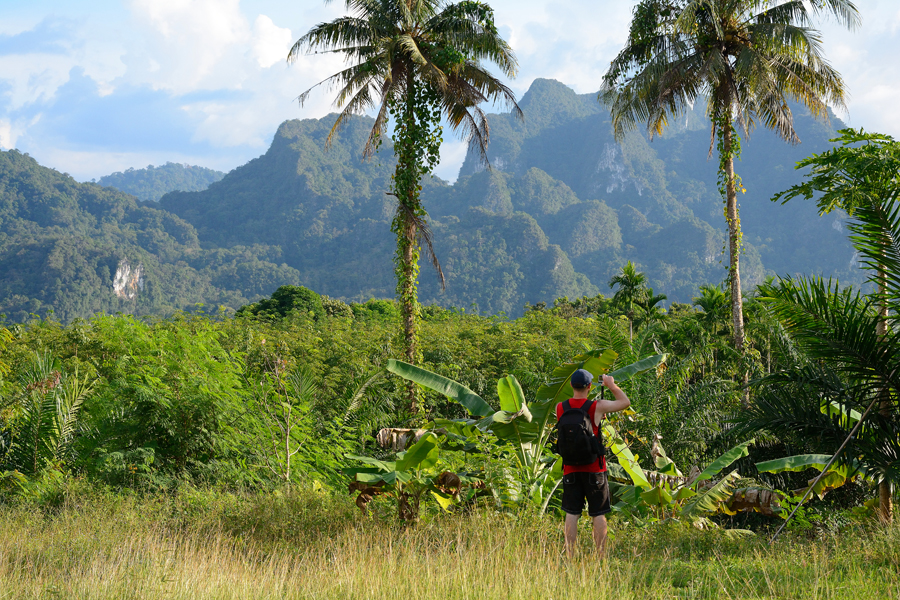 park khao sok tajlandia park khao sok tajlandia
