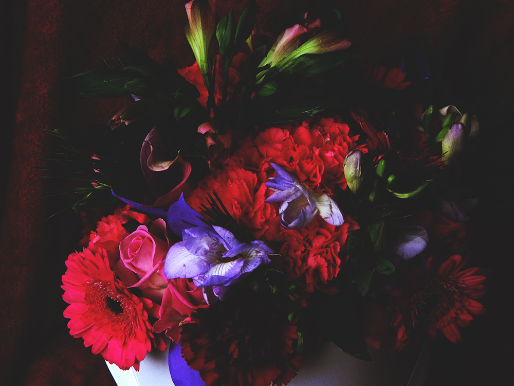 Bloom Magic Flower Delivery Service Review AD Cardigan Jezebel