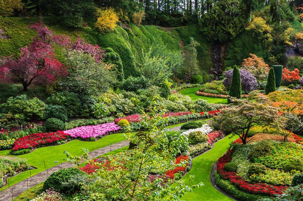 Rockery