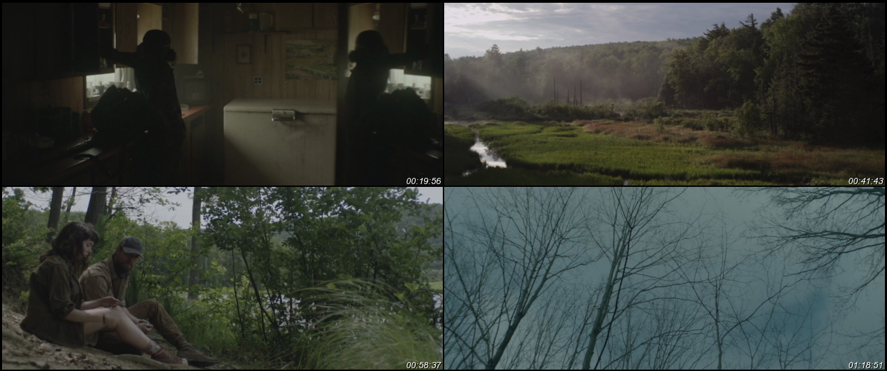 Here Alone 2016