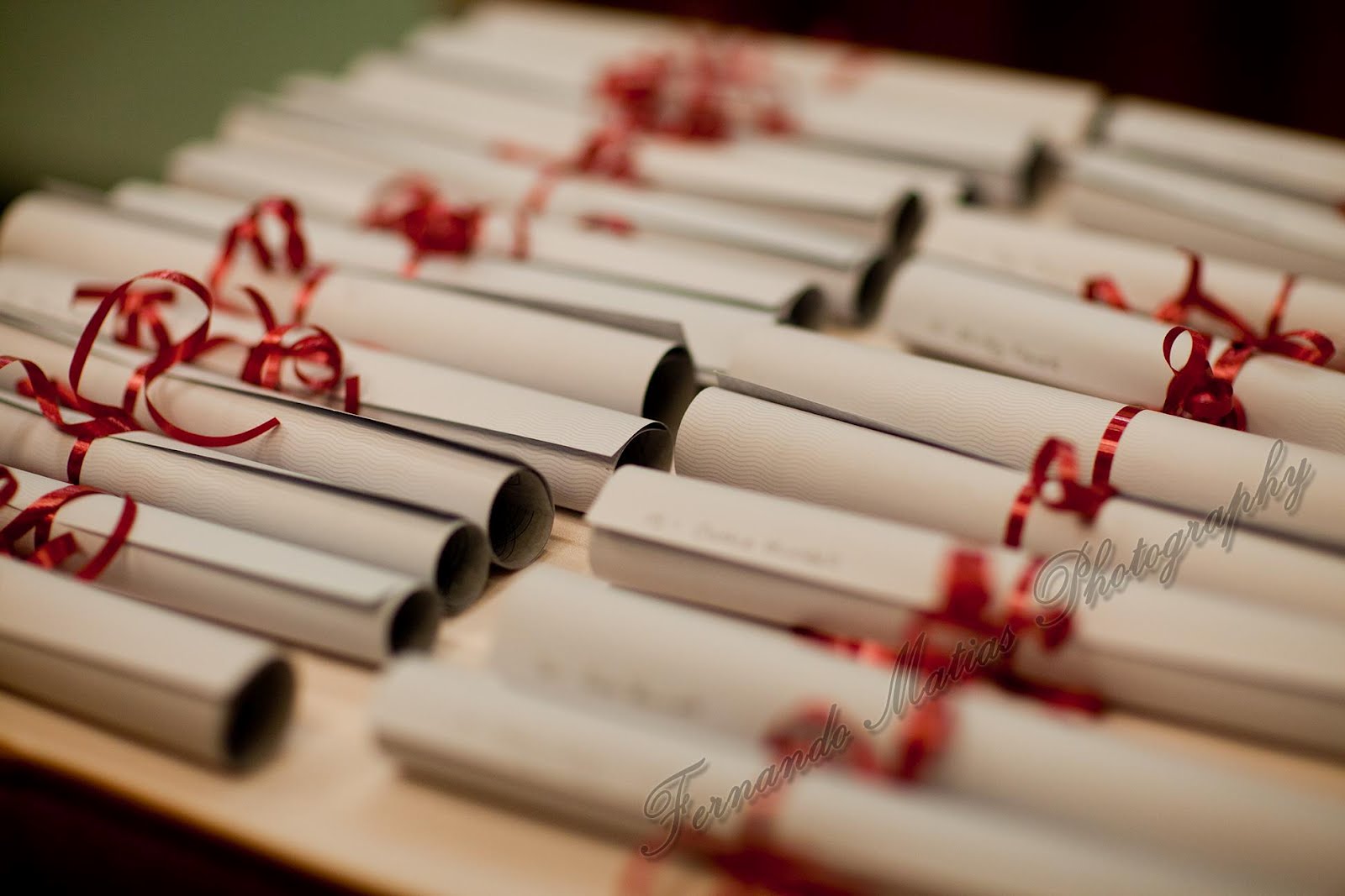 Fernando Matias Photography Ottawa Ontario Ottawa Wedding