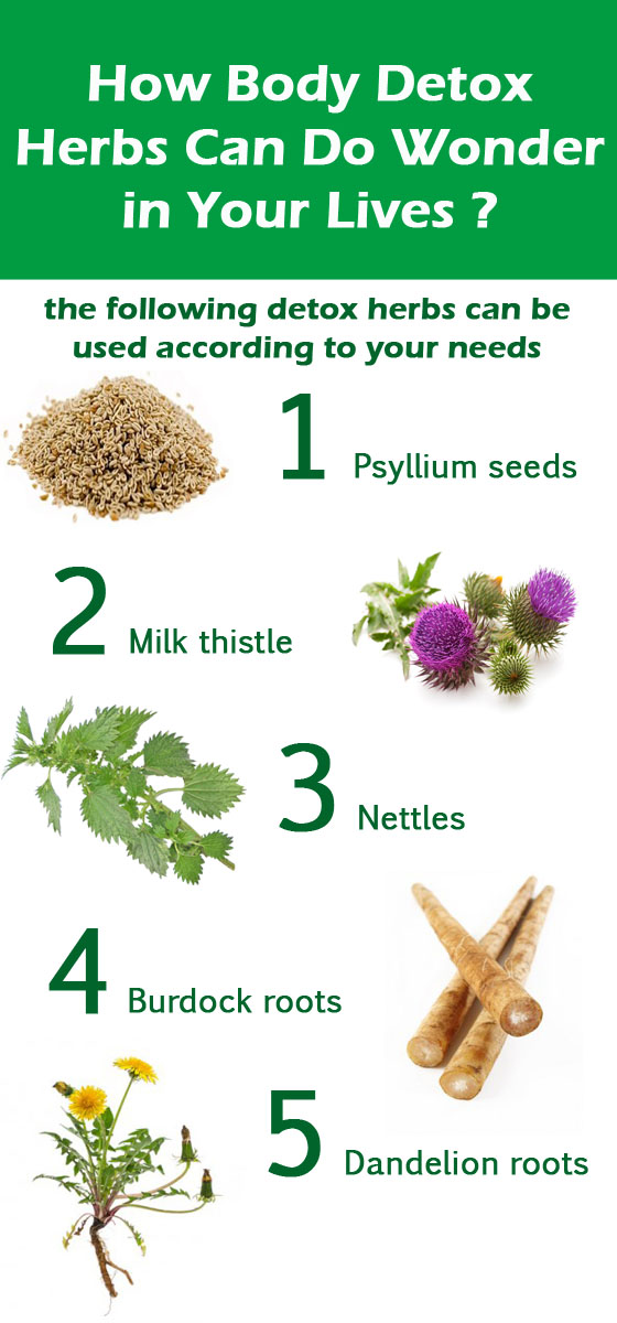 How Body Detox Herbs Can Do Wonder in Your Lives