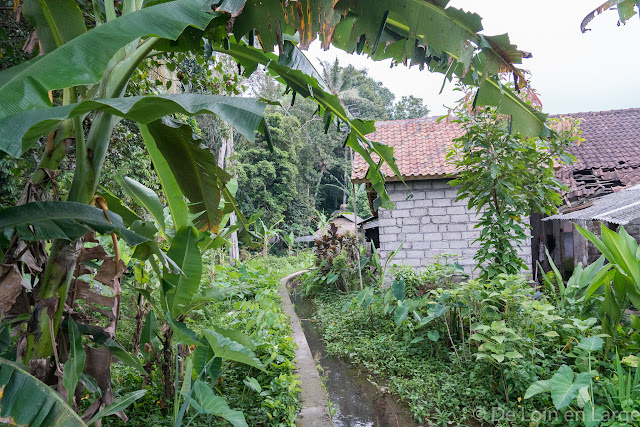 Campuhan - Ubud - Bali