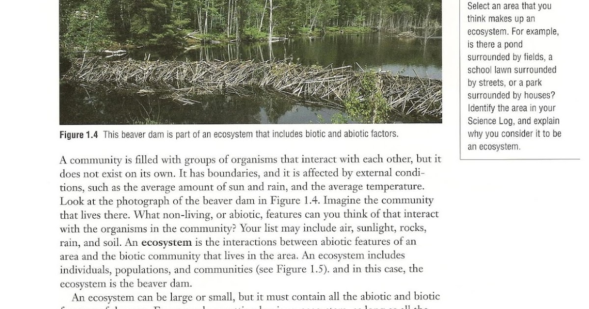 Mrs. Crowley Science : Grade 7 Ecosystems Reading