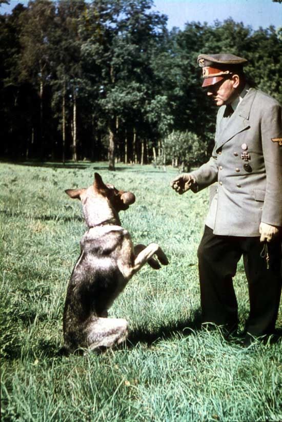 World War Ii In Pictures December 2018