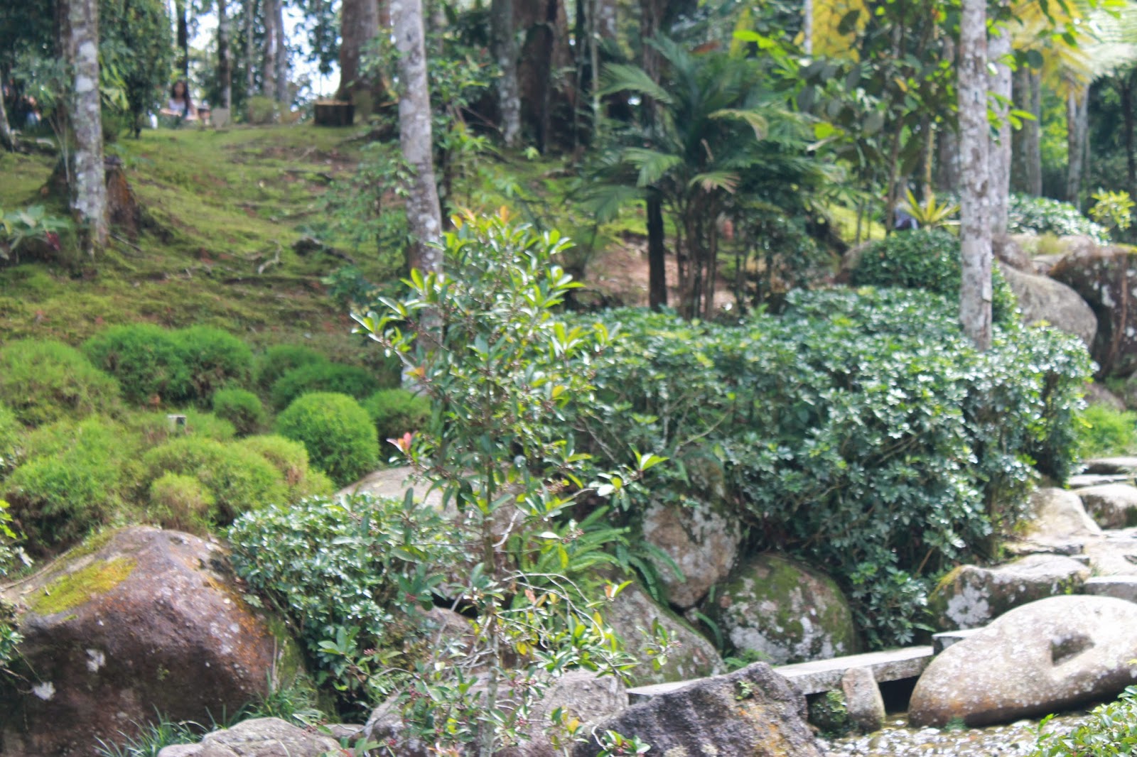  Taman Mini Jepun  dan Taman  Botani Bukit Tinggi