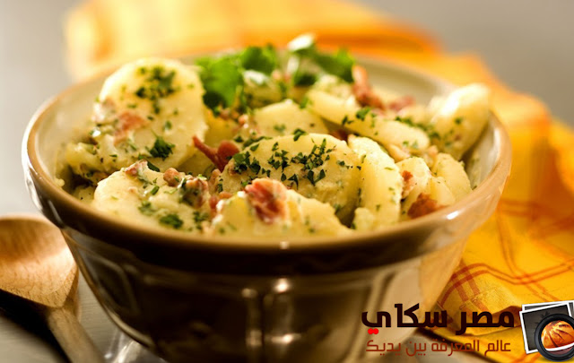 4 أنواع من أطباق السلطة البسيطة وطرق التحضيرSalad 4 أنواع من أطباق السلطة البسيطة وطرق التحضيرSalad
