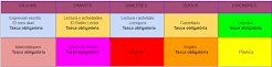 HORARI TASQUES DE CONFINAMENT