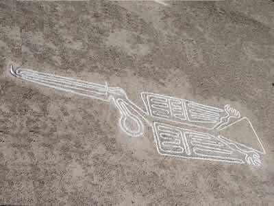 Línea de Nazca Figura de pelícano en la Línea de Nazca