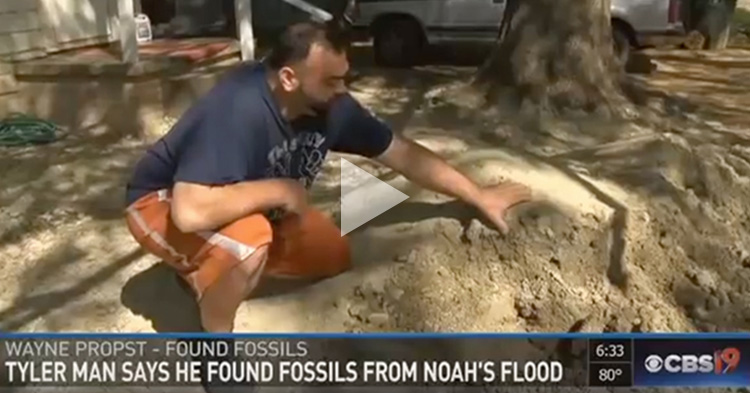 A Man claims that he discovered fossils from Noah's flood from his aunt's front yard