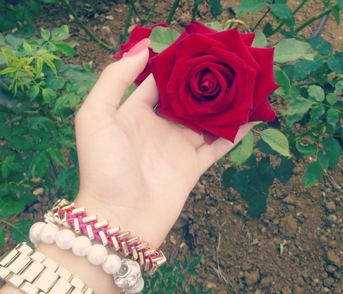 صورة