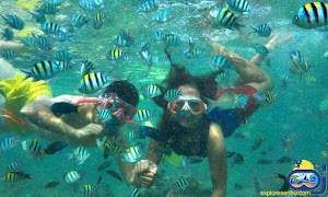 tidung underwater