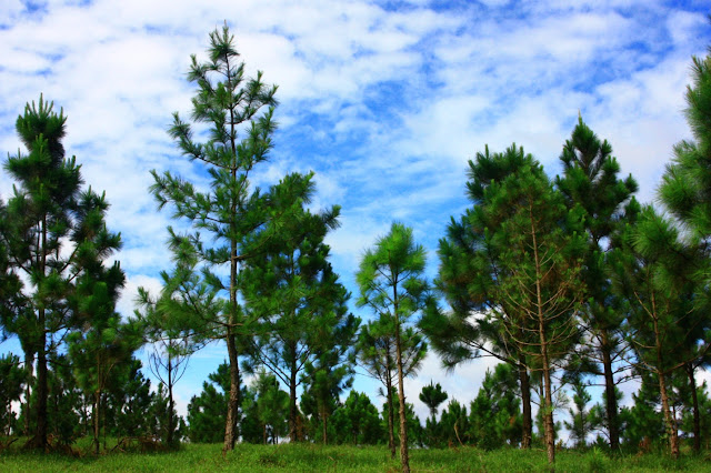 The pristine and mesmerizing beauty of Mondulkiri, Cambodia The pristine and mesmerizing beauty of Mondulkiri, Cambodia