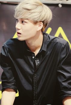Kai Exo >> Where This KPOP Fangirl Rants: Belated Birthday Project Kai Exo >> Where This KPOP Fangirl Rants: Belated Birthday Project
