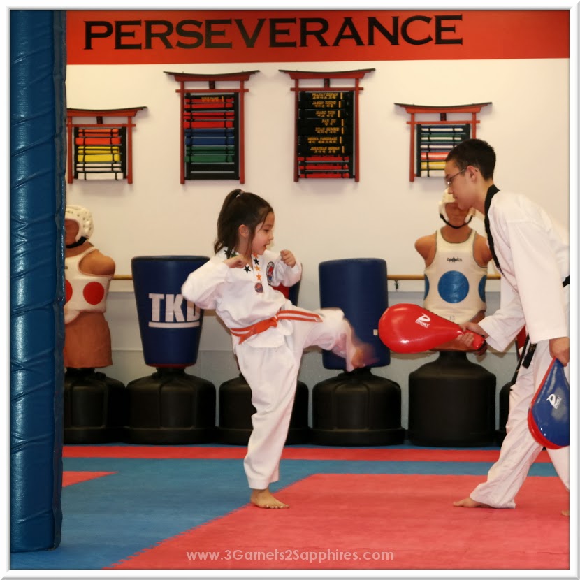 Perseverance - #Taekwondo Tenets - #TKD