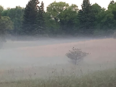 mist at dawn mist at dawn