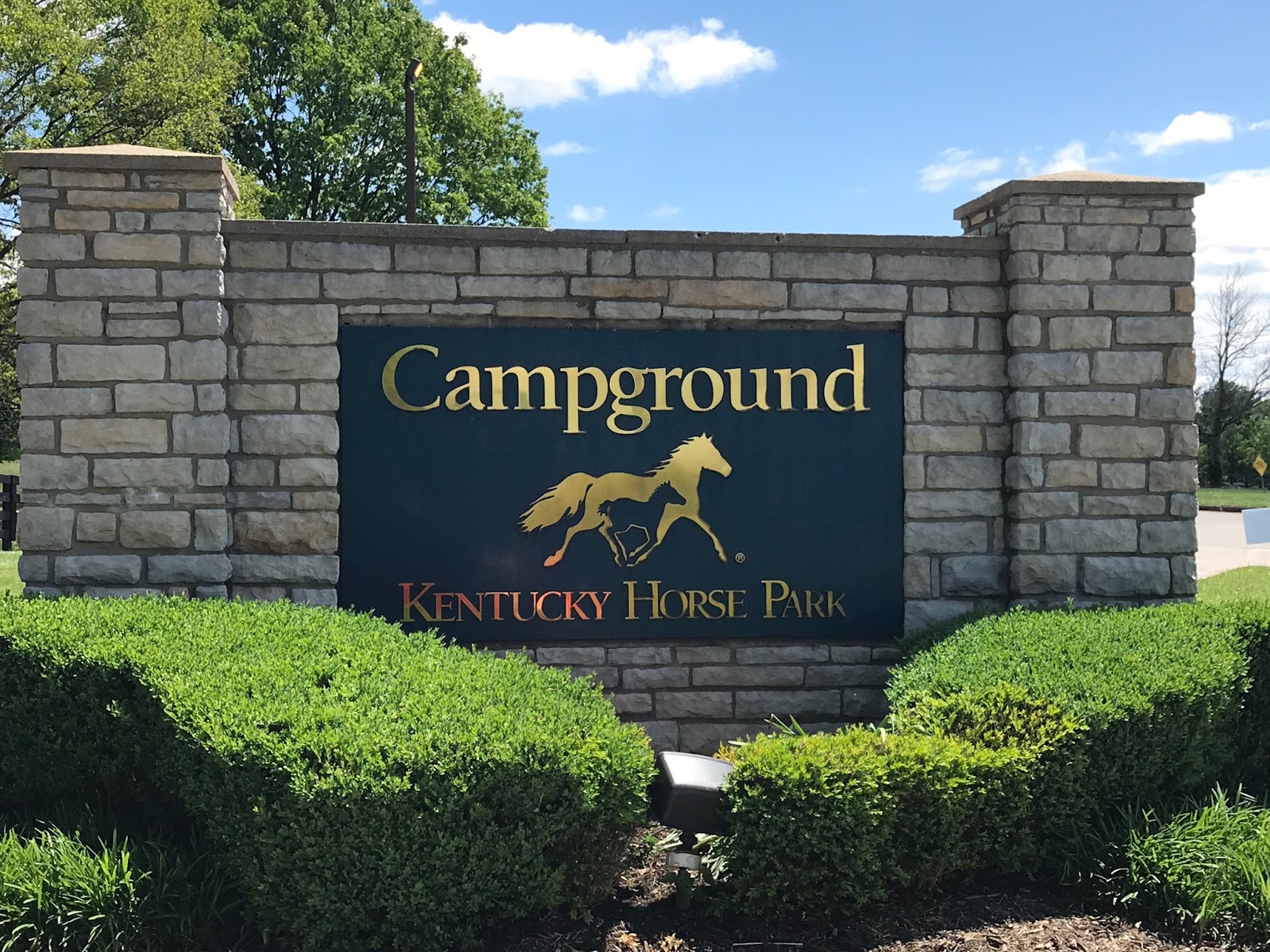 Cozy Rosie Kentucky Horse Park Lexington, Kentucky