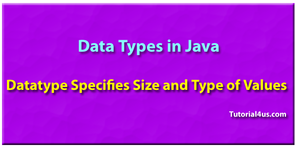 Data Types in Java - Sitesbay