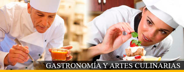 Diferencias Entre Gastronomia Y Arte Culinario