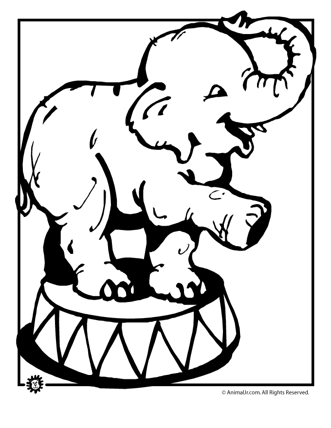 baby circus animals coloring pages - photo #34