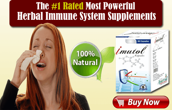 Herbal Immune System Supplements