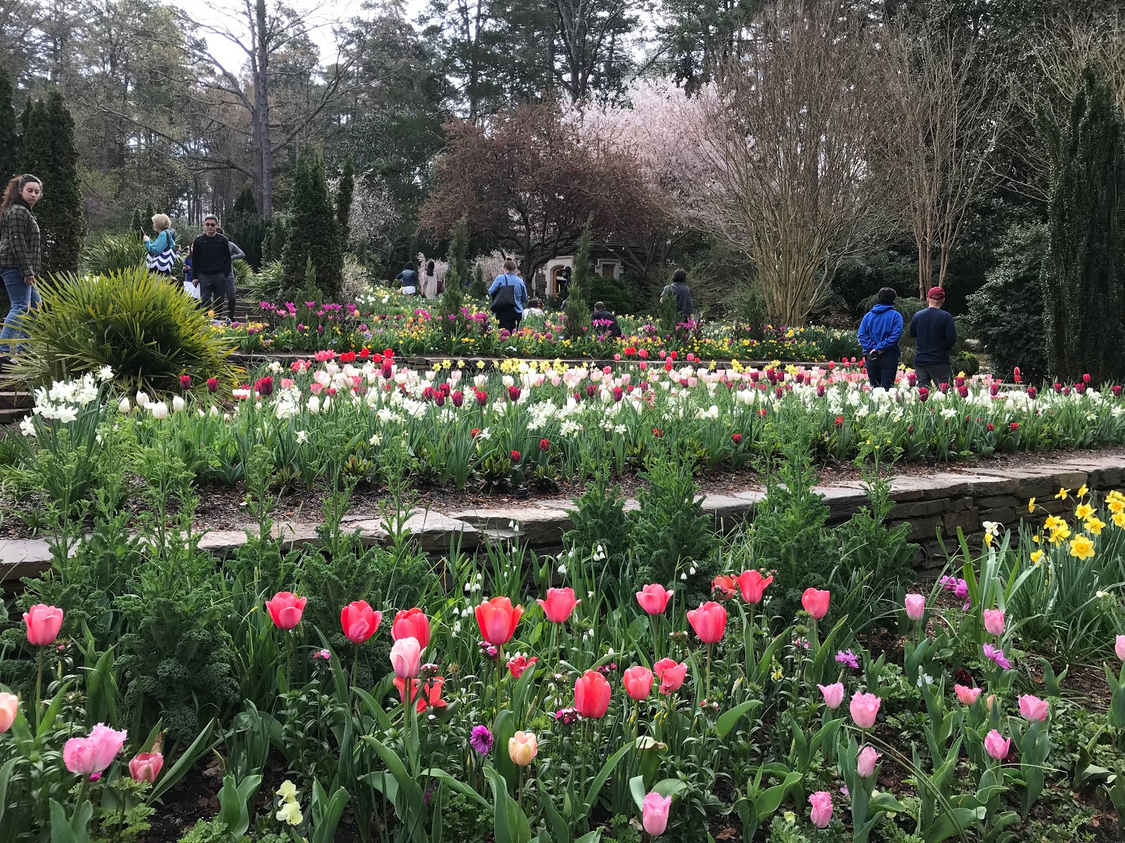 Duke Gardens - Spring 2019