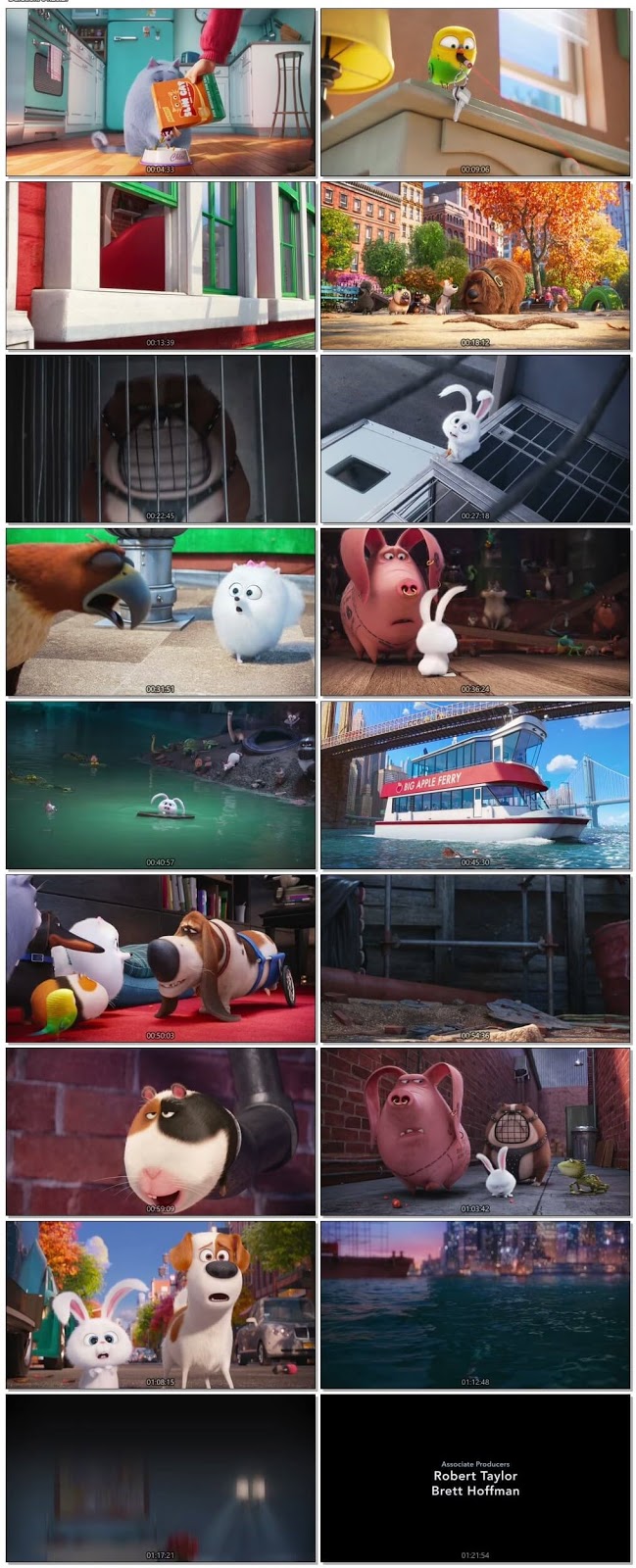the secret life of pets watch online dvd rip