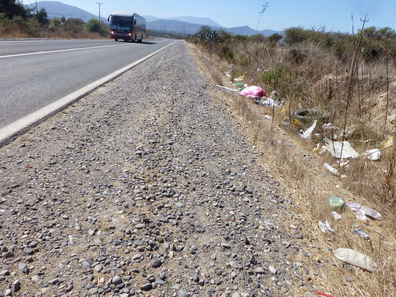 hähnchenknochen_hund — Mein Leben mit Hund