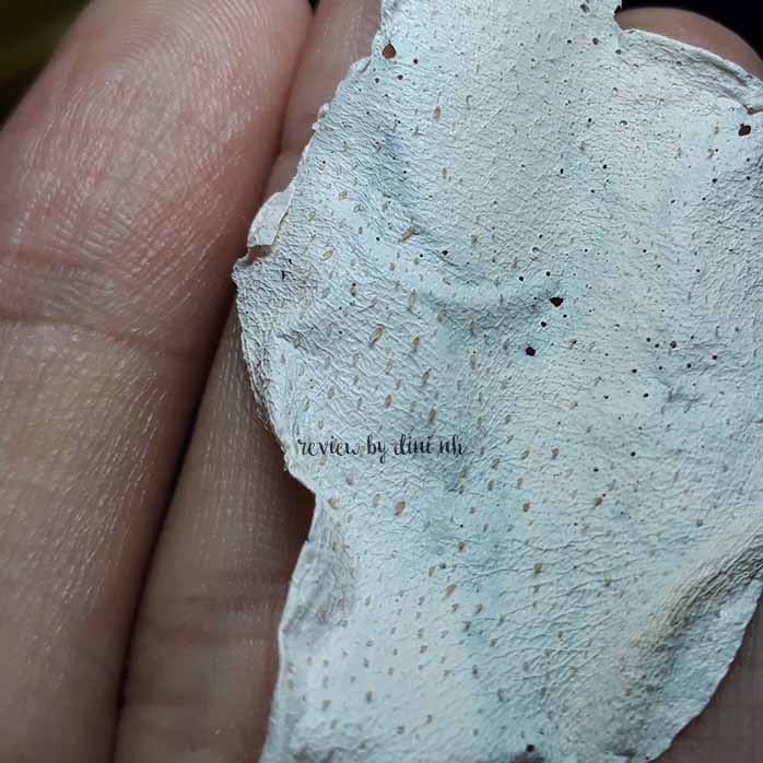 Download The Face Shop Jeju Volcanic Lava Peel Off Clay Nose Mask Review Hd Gallery PSD Mockup Templates