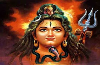 भगवान नागेश्वर सदाशिव के गले का आभूषण हैं नाग भगवान नागेश्वर सदाशिव के गले का आभूषण हैं नाग