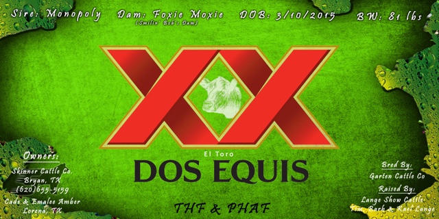 Dos Equis Banner