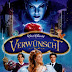 Enchanted (2007) 250MB BRRip 480P English ESubs